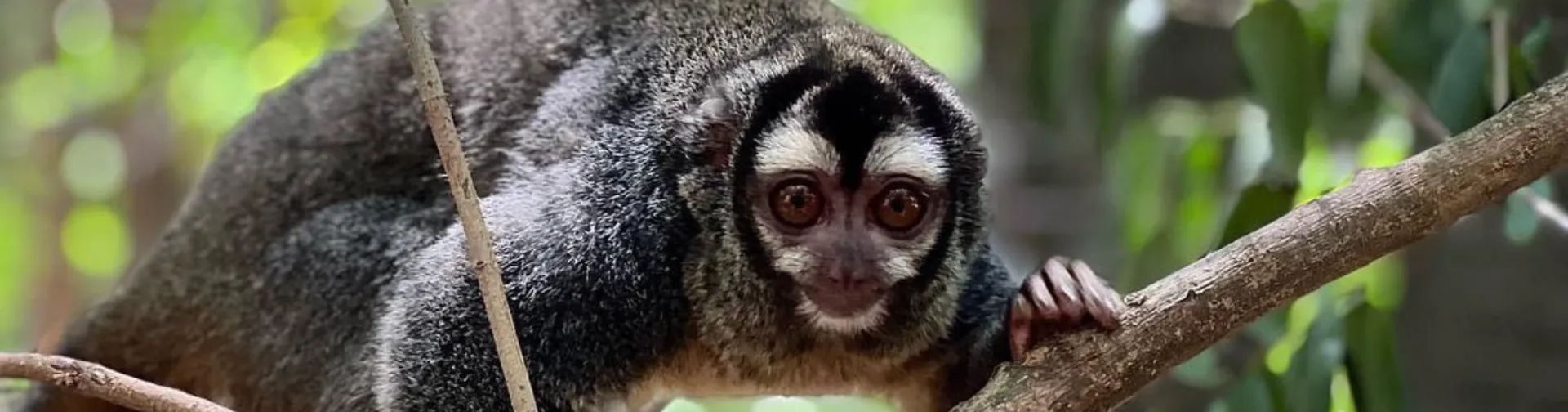 Ayudanos a Proteger la Naturaleza